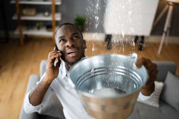 Best Professional water damage repair  in Goldsby, OK