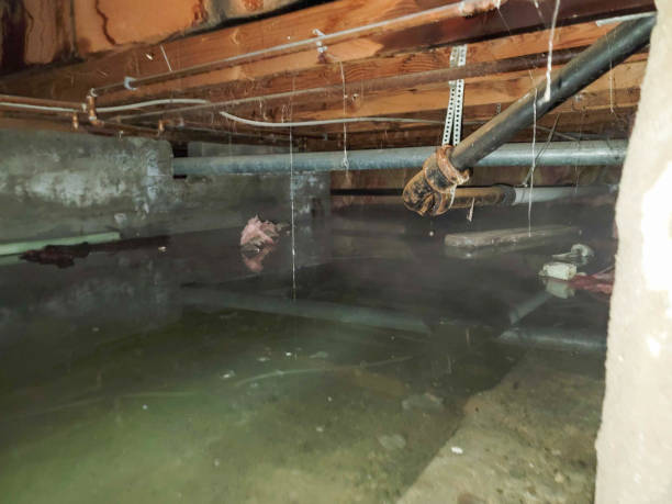  Goldsby, OK Water damage restoration Pros