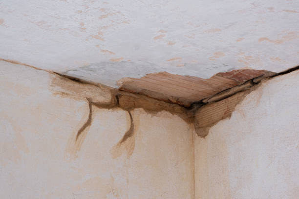 Best Water damage restoration near me  in Goldsby, OK