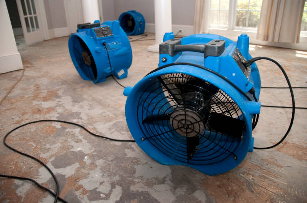 Best 24-hour water damage restoration  in Goldsby, OK